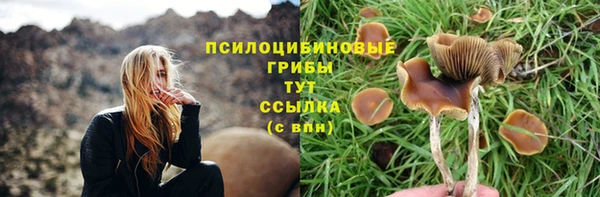 2c-b Алзамай