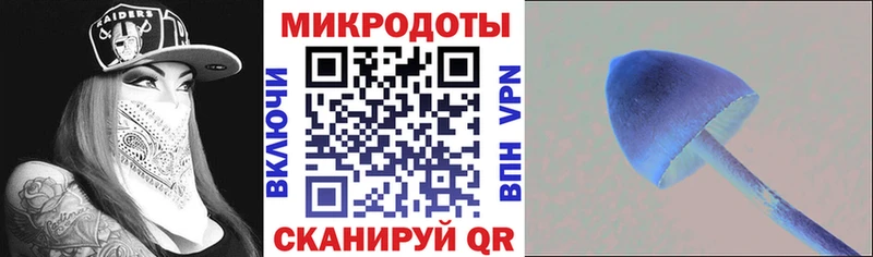 Галлюциногенные грибы мицелий  Тосно 